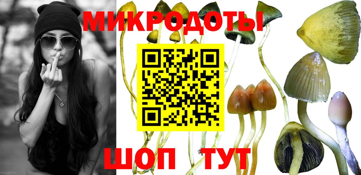 Галлюциногенные грибы MAGIC MUSHROOMS Камышлов