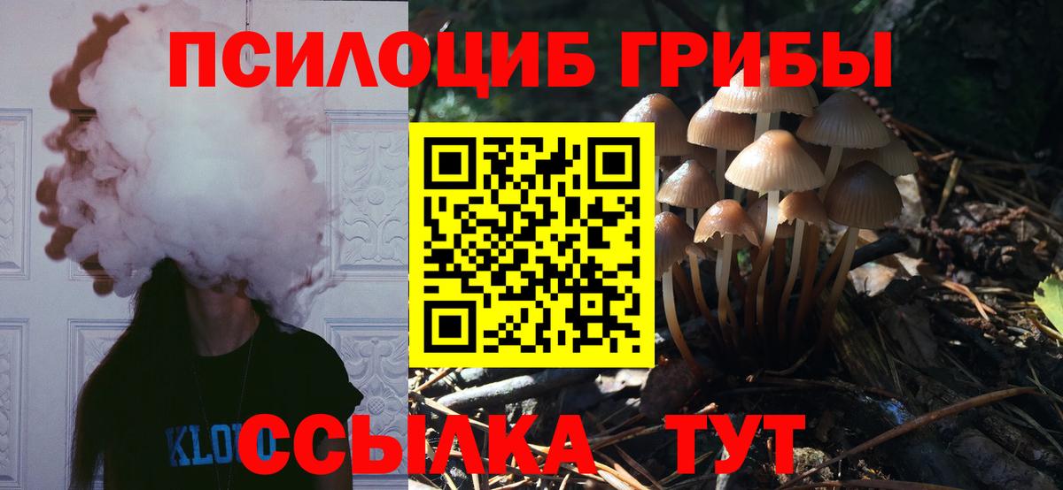 Псилоцибиновые грибы мухоморы  Галлюциногенные грибы GOLDEN TEACHER  купить   Вход с VPN  Камышлов 